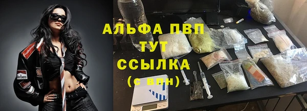 a pvp Абаза