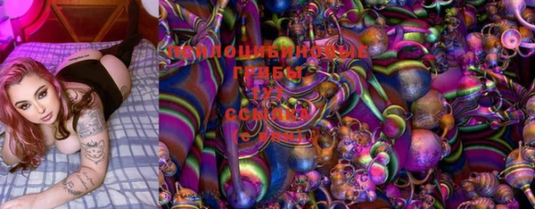 ешки Абинск