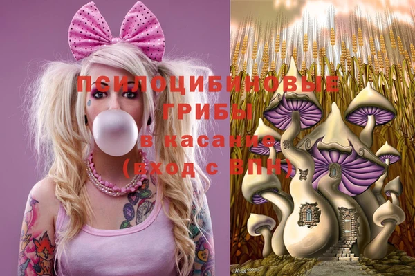 дурь Алексин