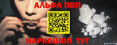 ешки Кингисепп