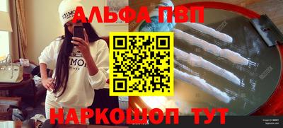 ешки Кингисепп