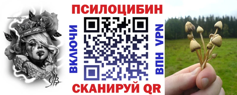 сколько стоит  Донской  Галлюциногенные грибы Cubensis 