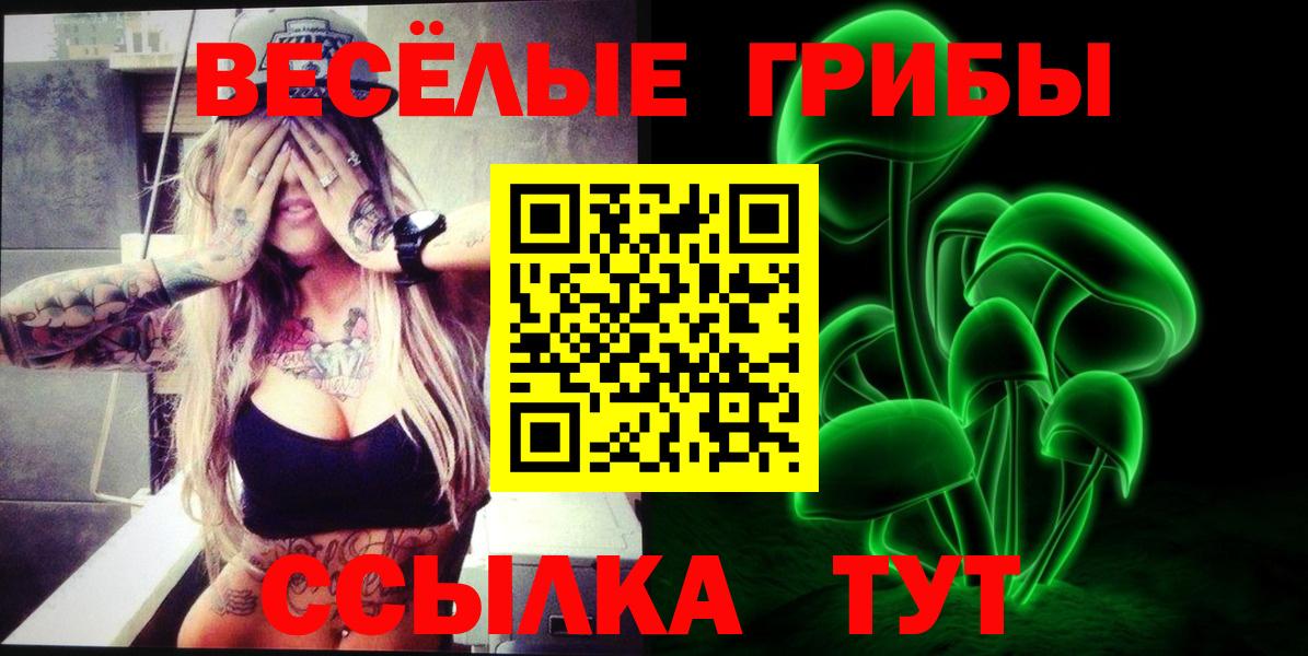что такое   Вход с VPN  Донской  Галлюциногенные грибы прущие грибы 