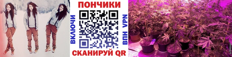 продажа наркотиков  мега вход  Каннабис Bruce Banner  Донской 